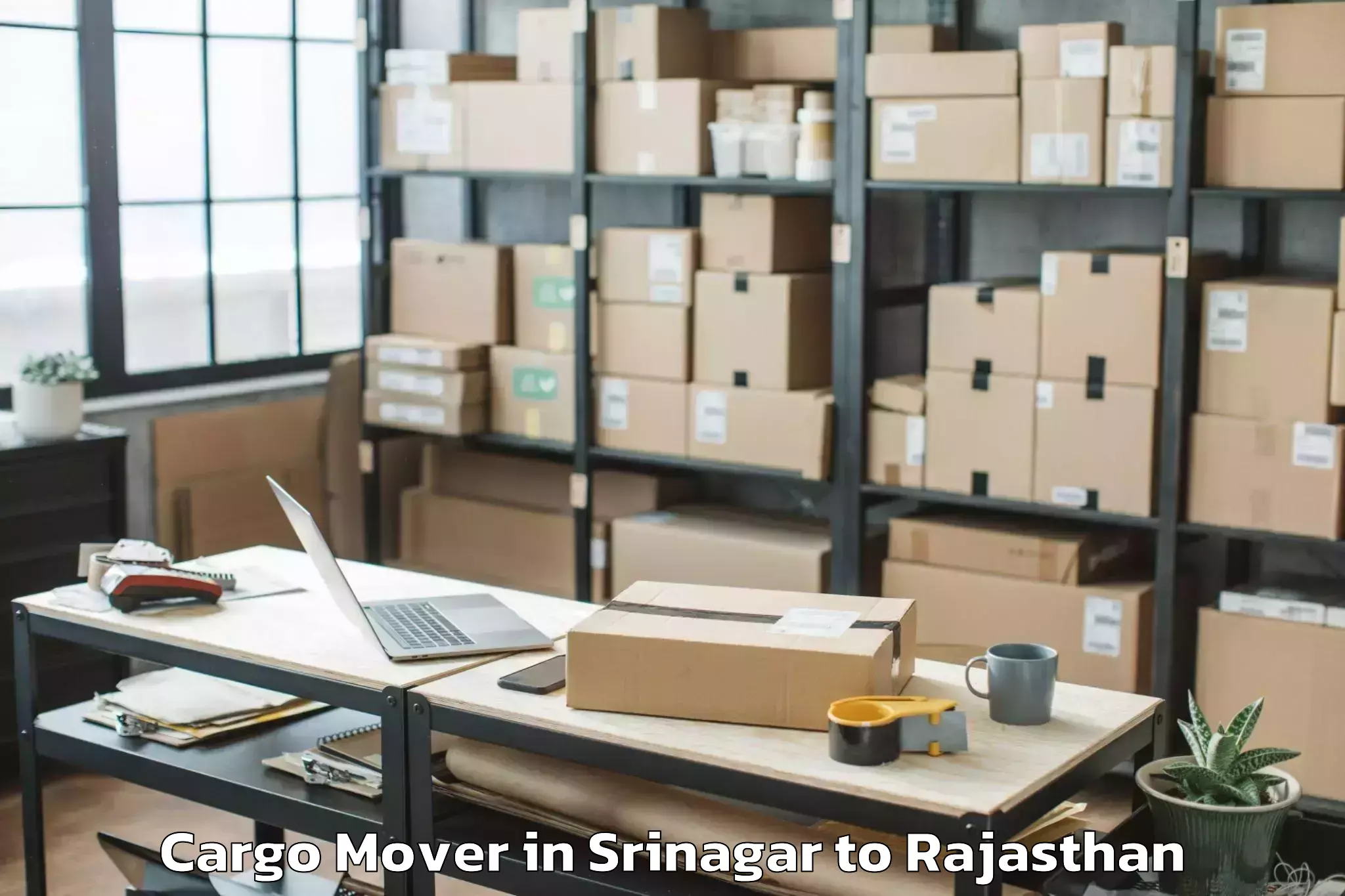 Top Srinagar to Madhav University Pindwara Cargo Mover Available